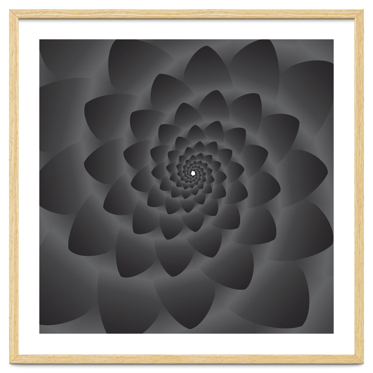 3 D Modern Black Floral