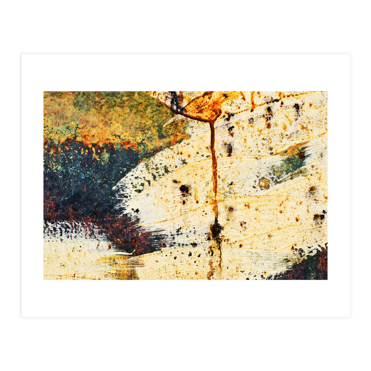 Zara (Print Only)