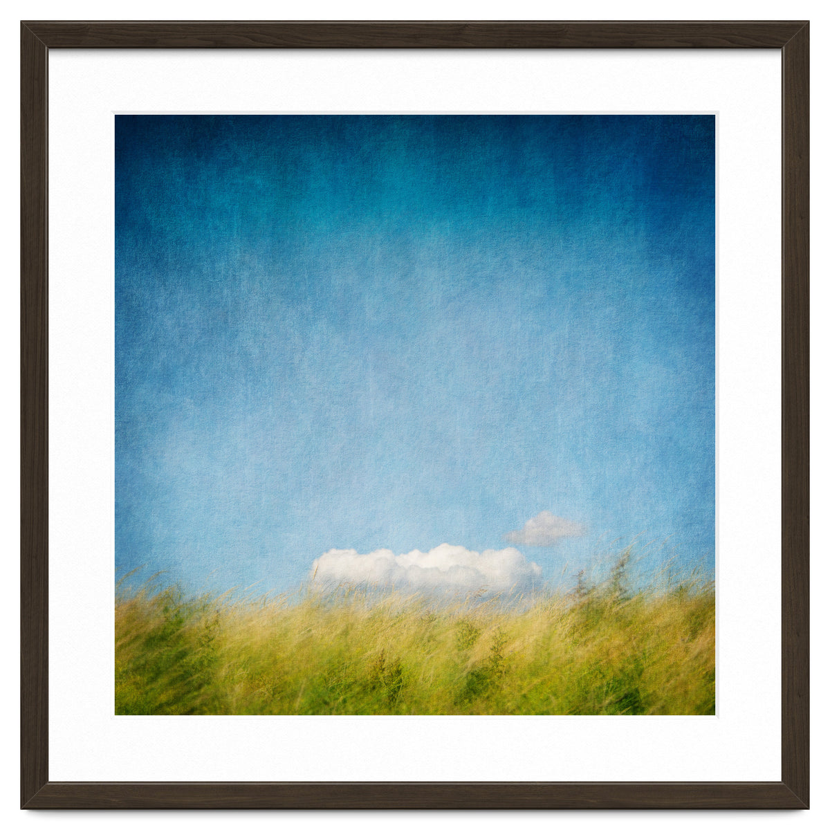 The Cloud That Fell From The Sky