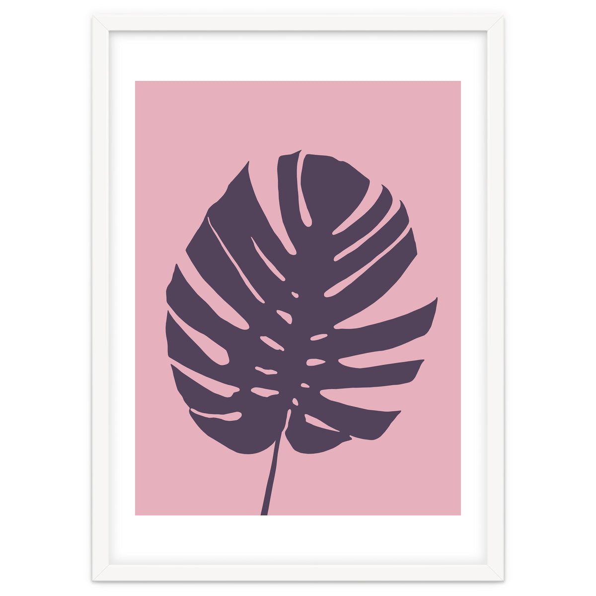 Monstera Deliciosa III