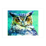 Great Horned Owl (Print Only) thumbnail