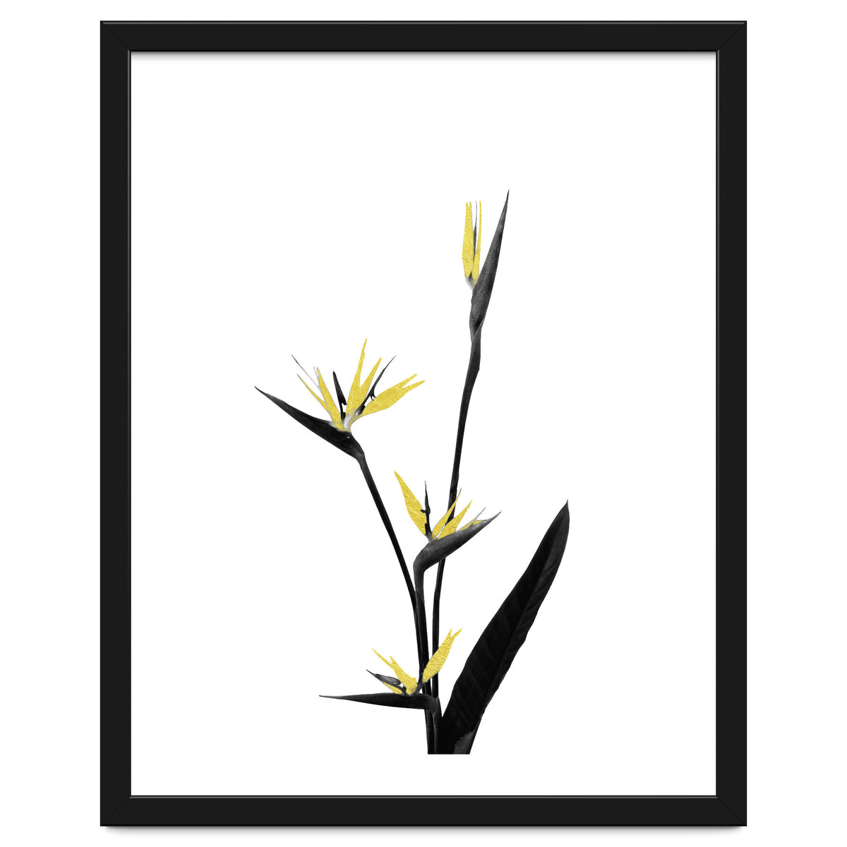 Flower Minimal Black And Gold 05