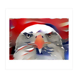 Bald Eagle (Print Only) thumbnail