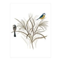 Garden Birds (Print Only)