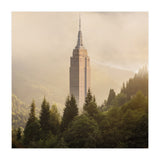 Forecity 4 (Print Only) thumbnail