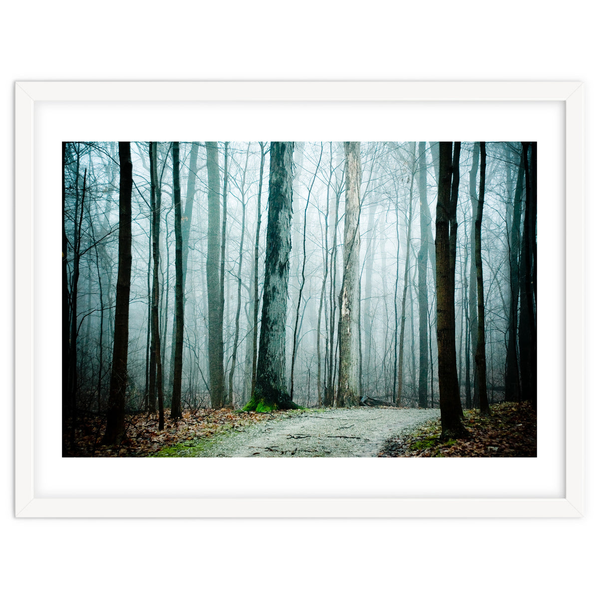 Gather Up Your Dreams