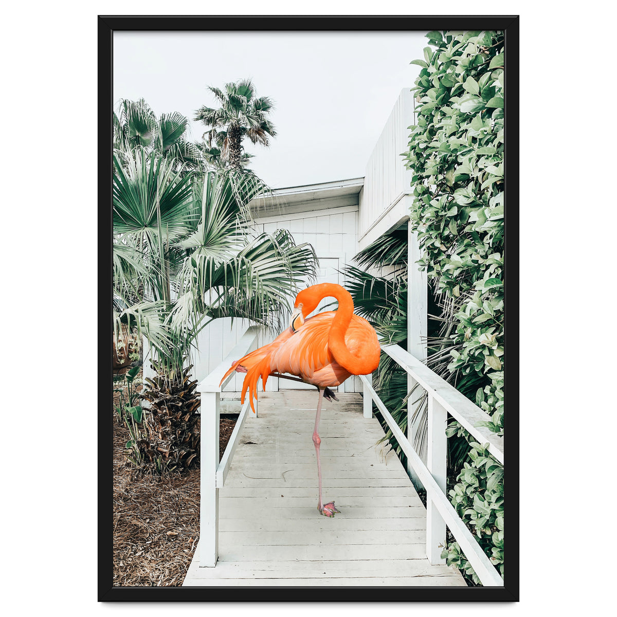 Flamingo Beach House