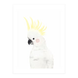 Sweet Cockatoo (Print Only) thumbnail