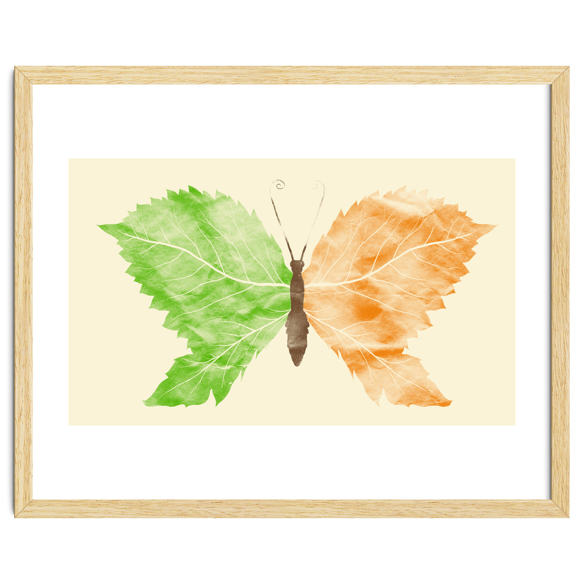 Seasons Change Time Flies