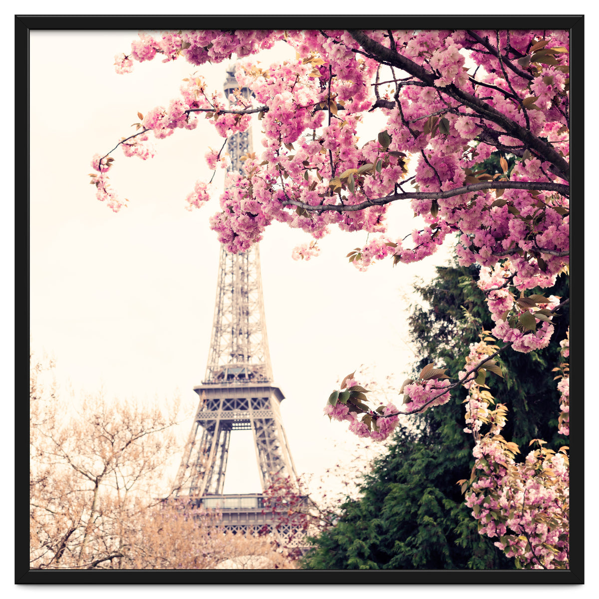 Paris in the Spring