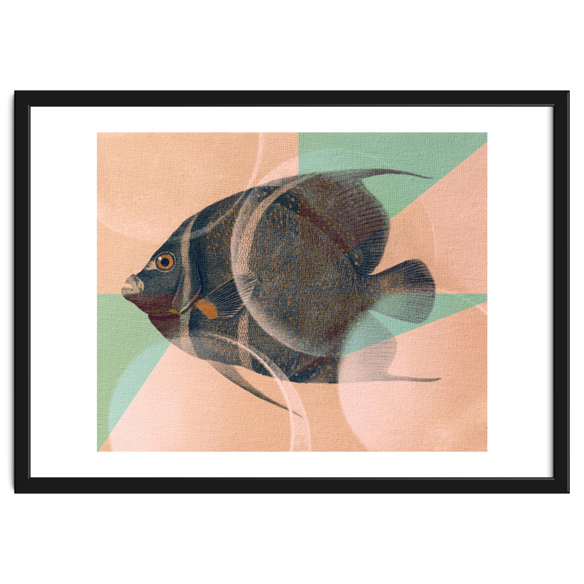 Fish Between Circles 2