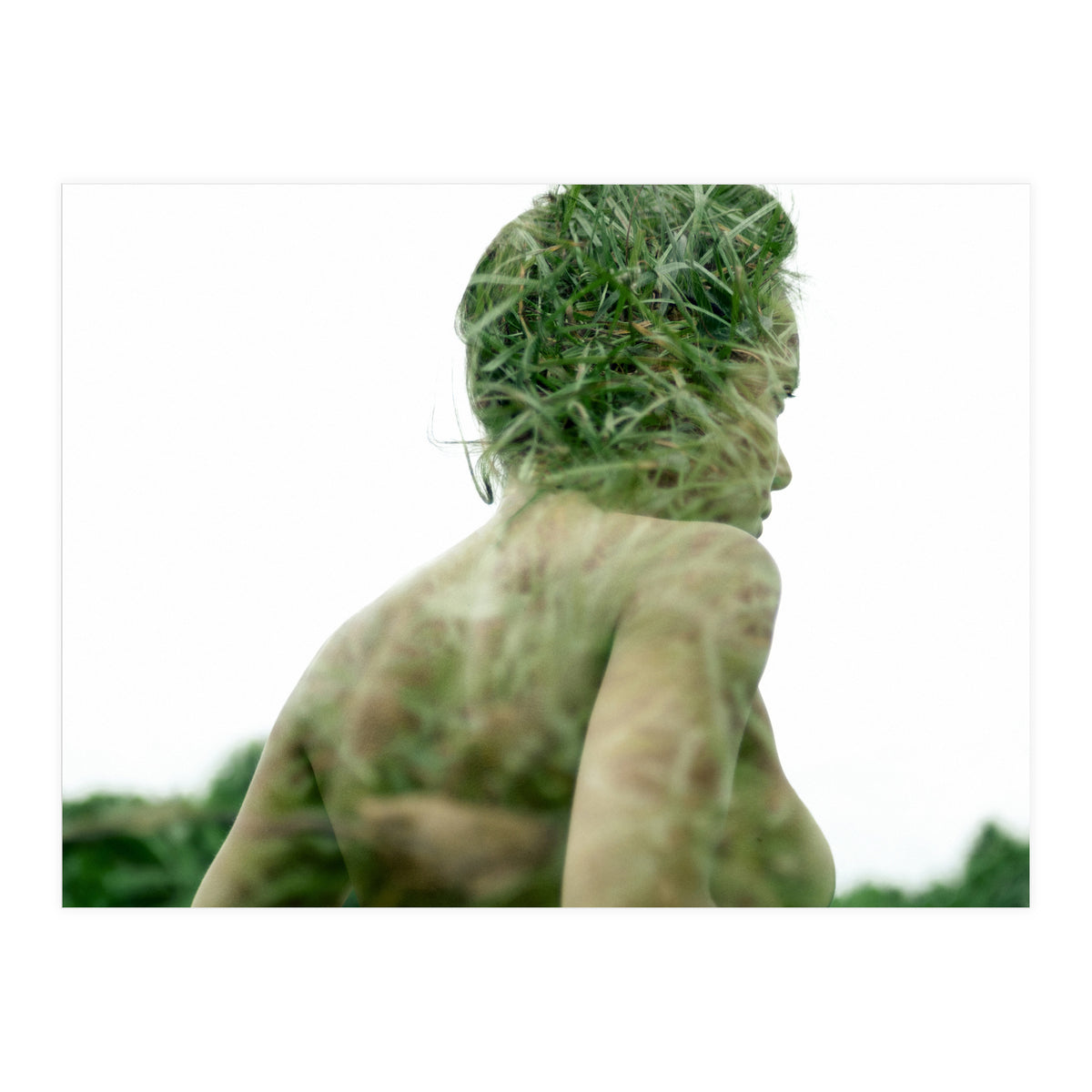 Grasshoppers (Print Only)