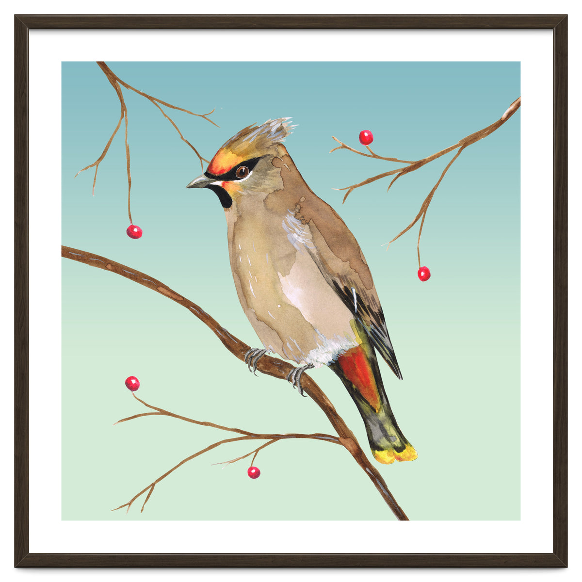 Bohemian waxwing