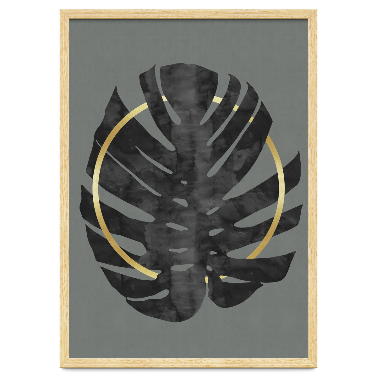 Monstera Deliciosa I