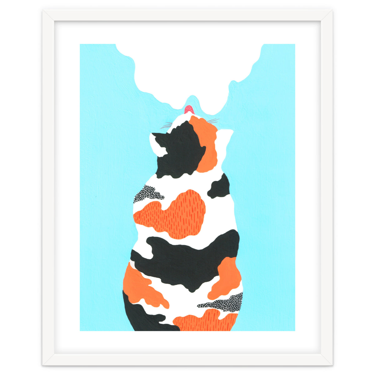 Tri Colored Calico Cat