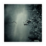Vacation (Print Only) thumbnail