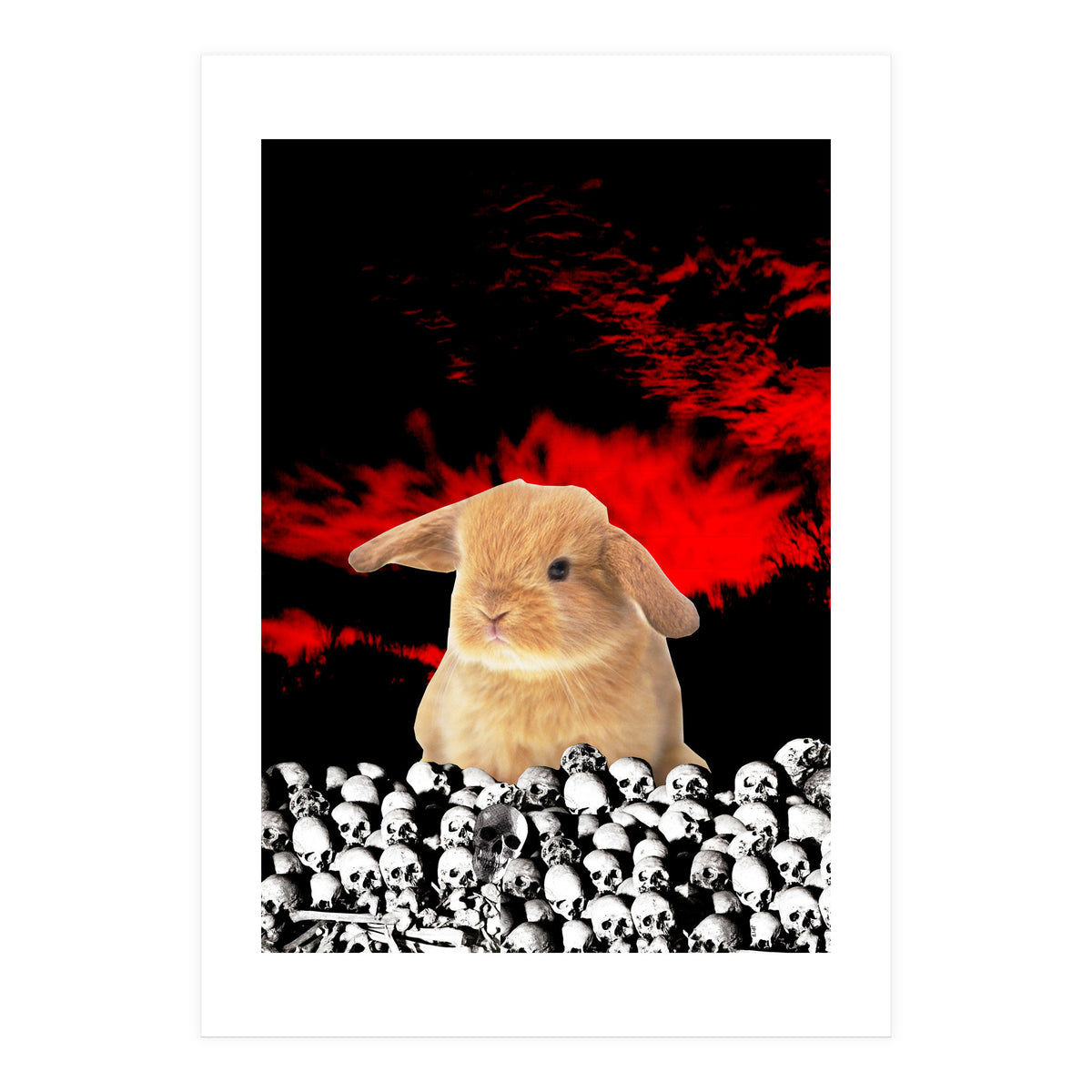 Bunny Of The Apocalypse (Print Only)