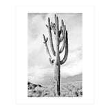 Loner (Print Only) thumbnail