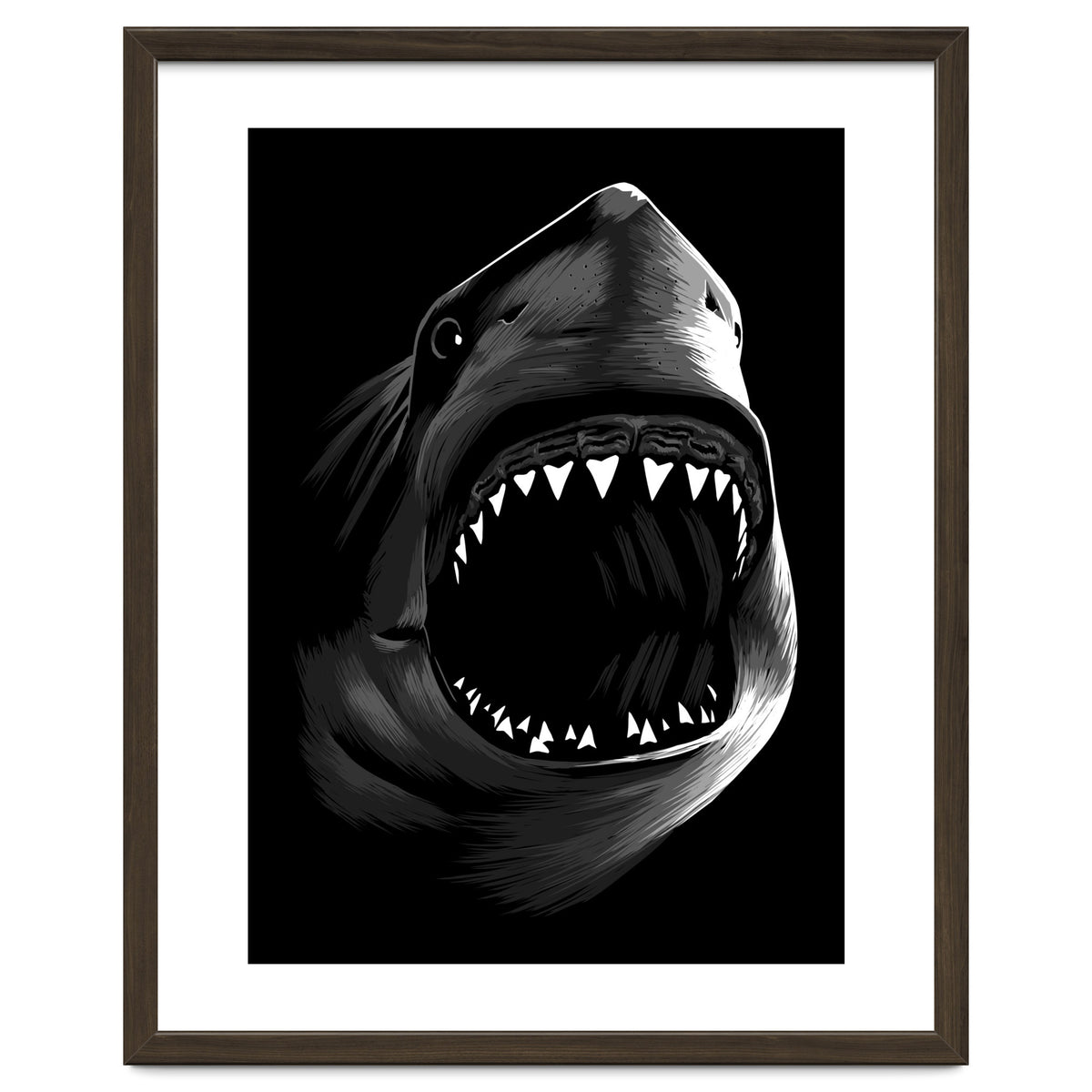 Megalodon