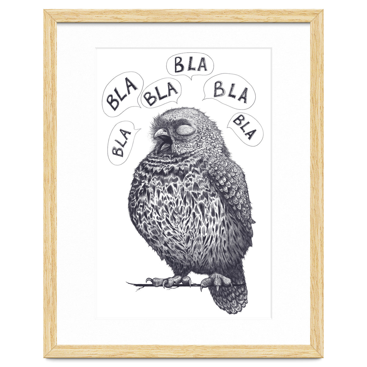 Owl Bla Bla Bla
