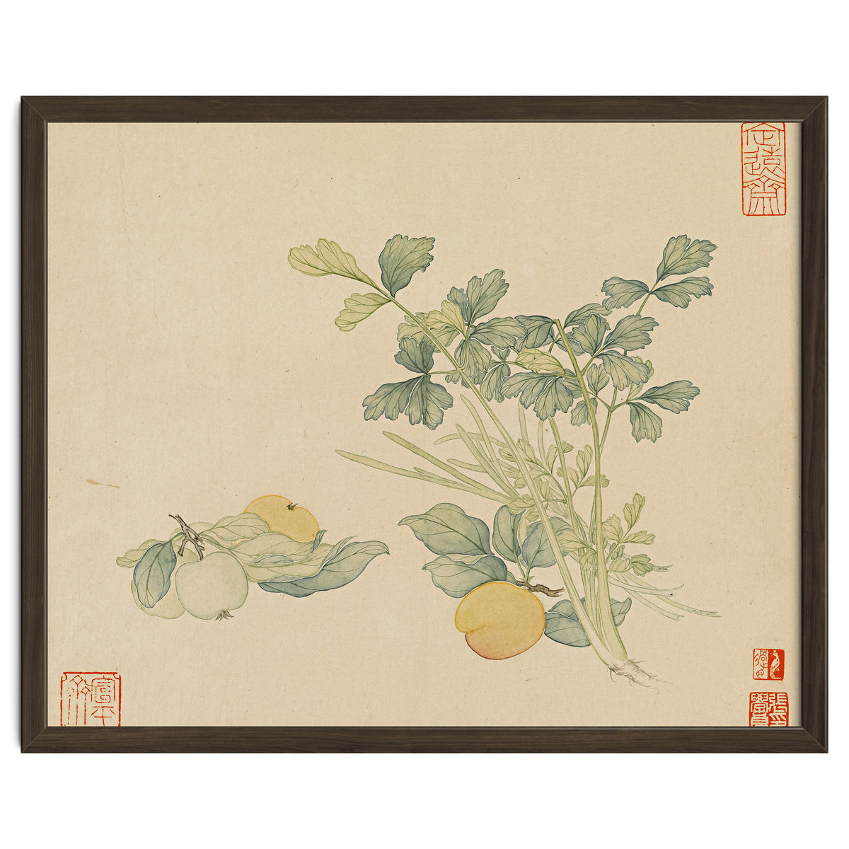 Wang Chengyu~flowers And Vegetables, Vegetables, Fruits, Plums, Apricots, Celery