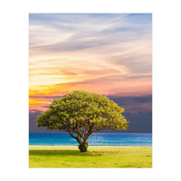 TREE with Great SKY (Print Only)