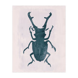 Beetle 3 (Print Only) thumbnail