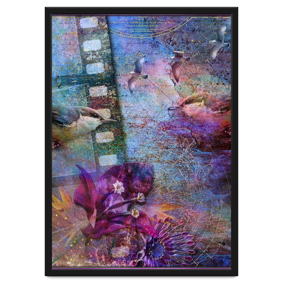 Watching the Wild World