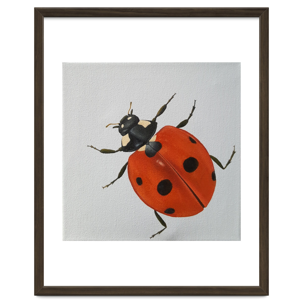 Ladybird