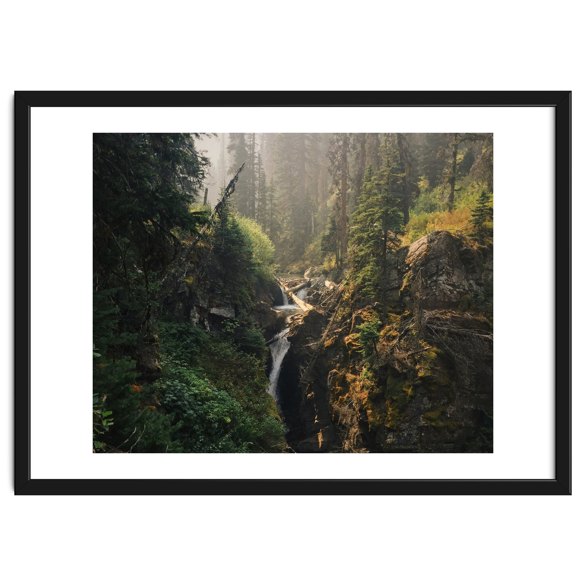 Glacier National Park I