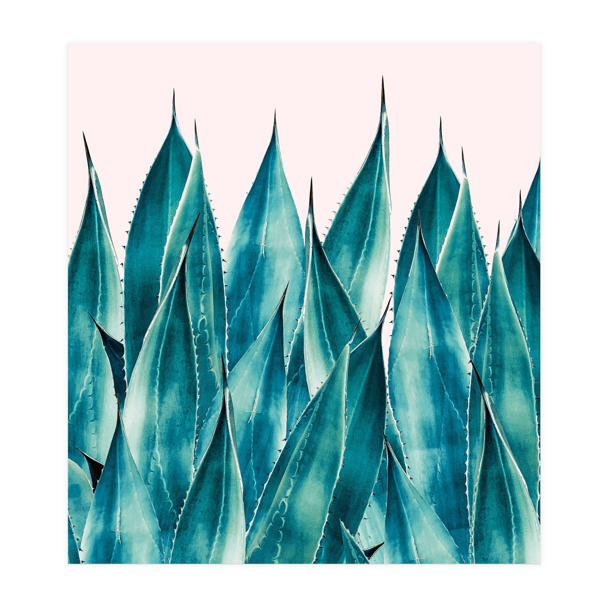 Summer Agave (Print Only)