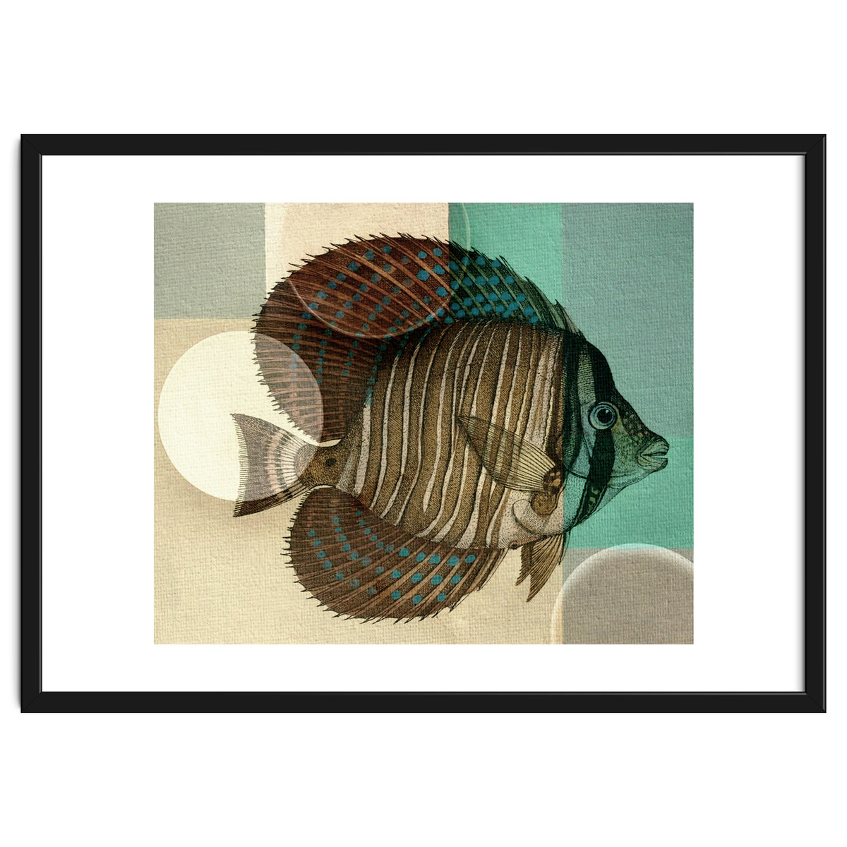 Fish Between Circles 4