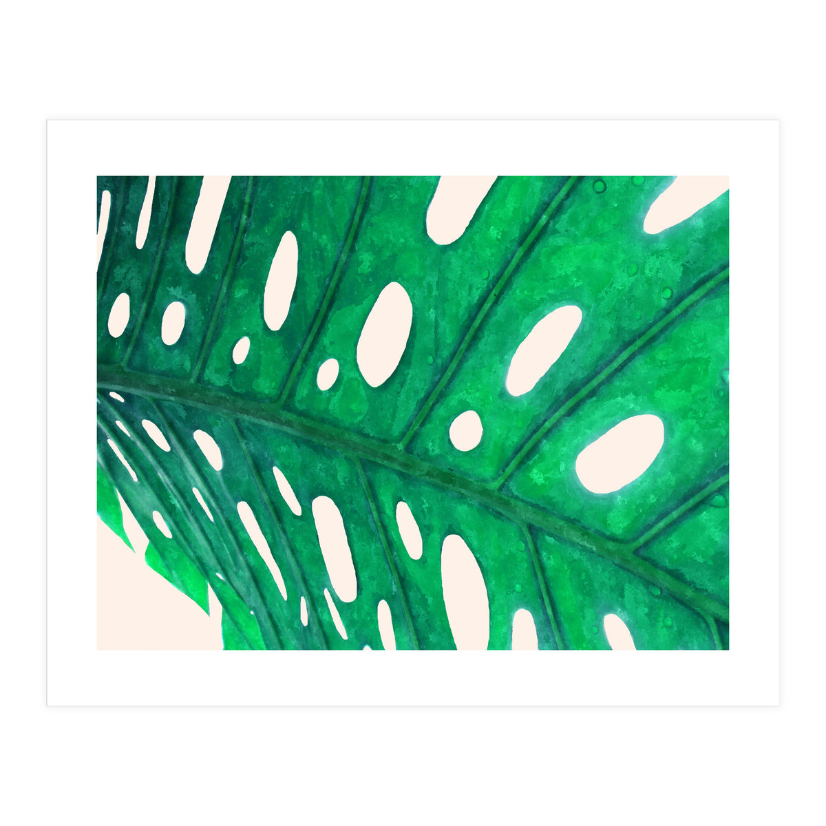 Foliage V2 (Print Only)