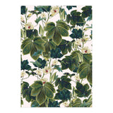 Wild Forest (Print Only) thumbnail