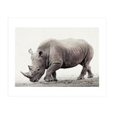 Rhino (Print Only) thumbnail