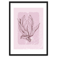 Magnolia Botanical Mid Century - Abstract Geometrical