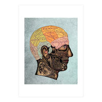 Brain Anatomy (Print Only)