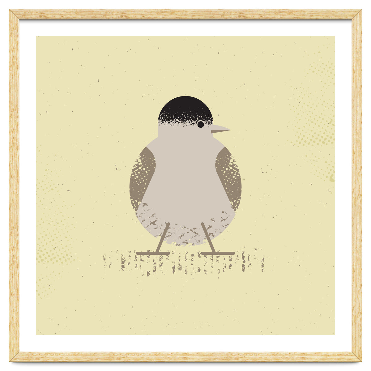 Blackcap 2