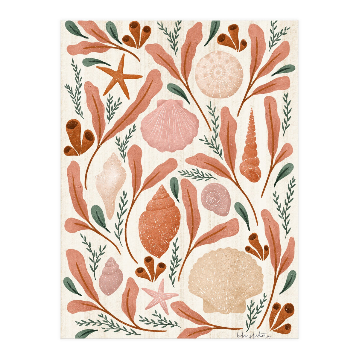 Shells Collection (Print Only)