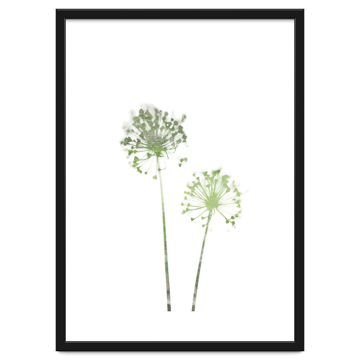 Olive Green Dandelion