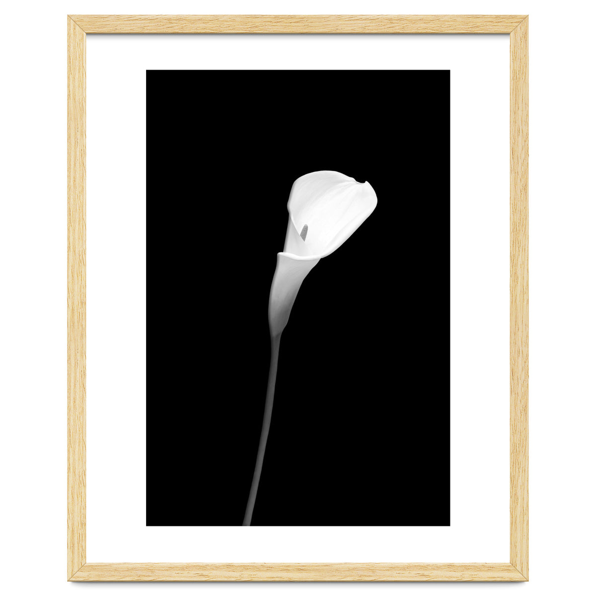 Calla | dark design