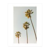 California (Print Only) thumbnail