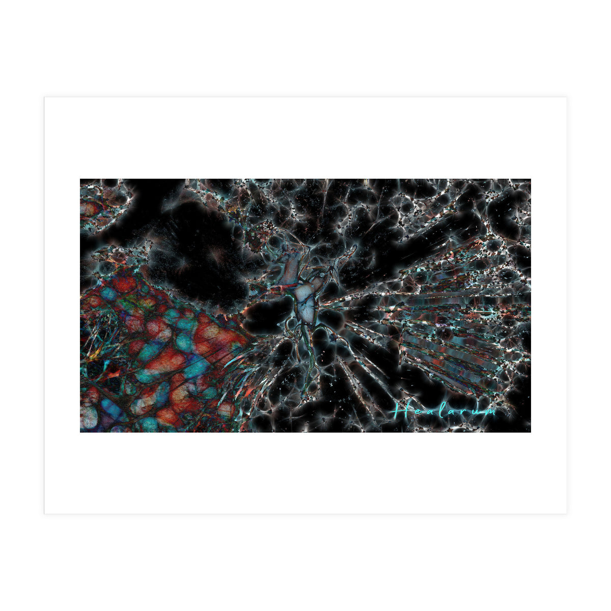 Torn Apart (Print Only)