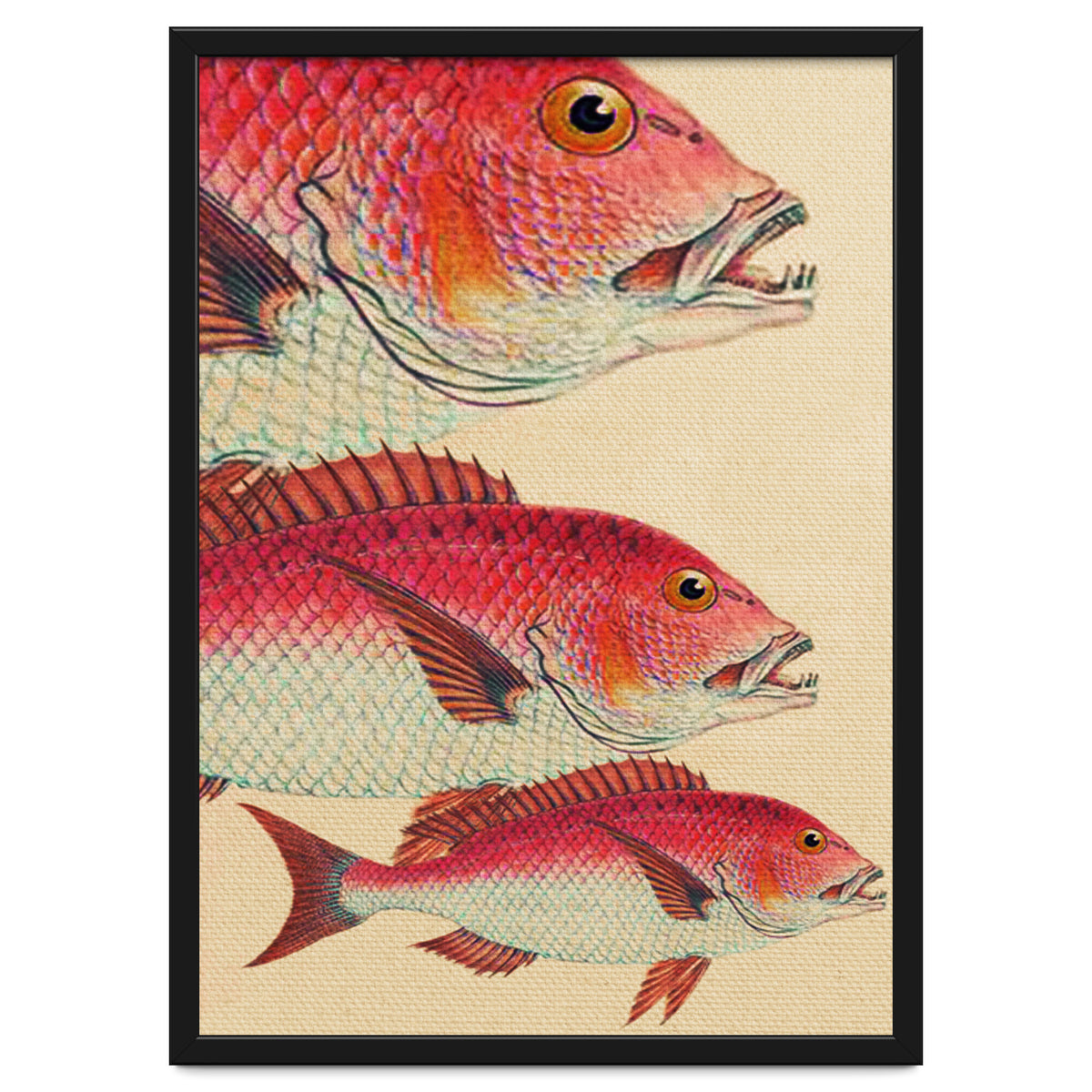 Fish Classic Designs 7