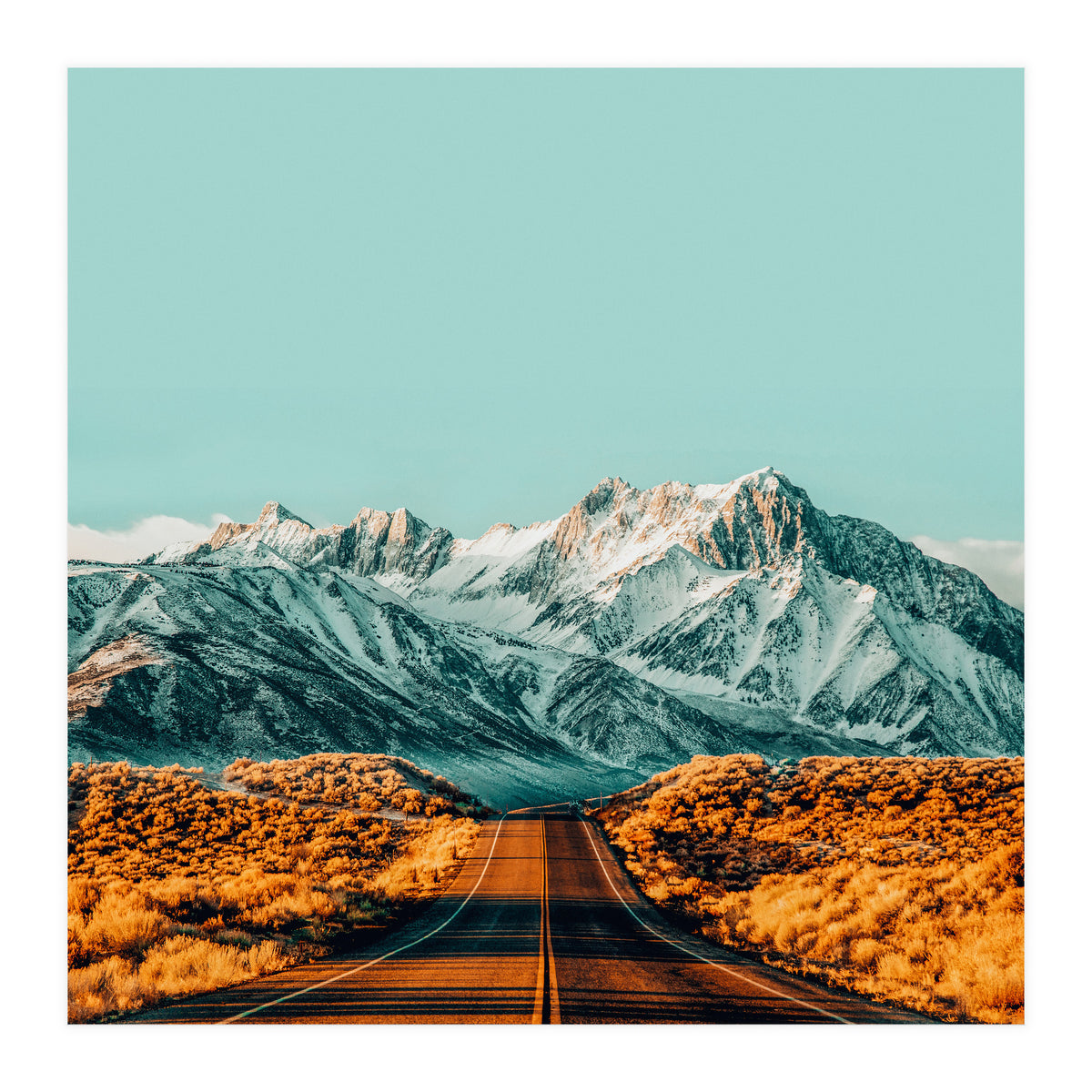 The Road Less Traveled (Print Only)