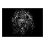 Ziggy Portrait No 1 (Print Only) thumbnail