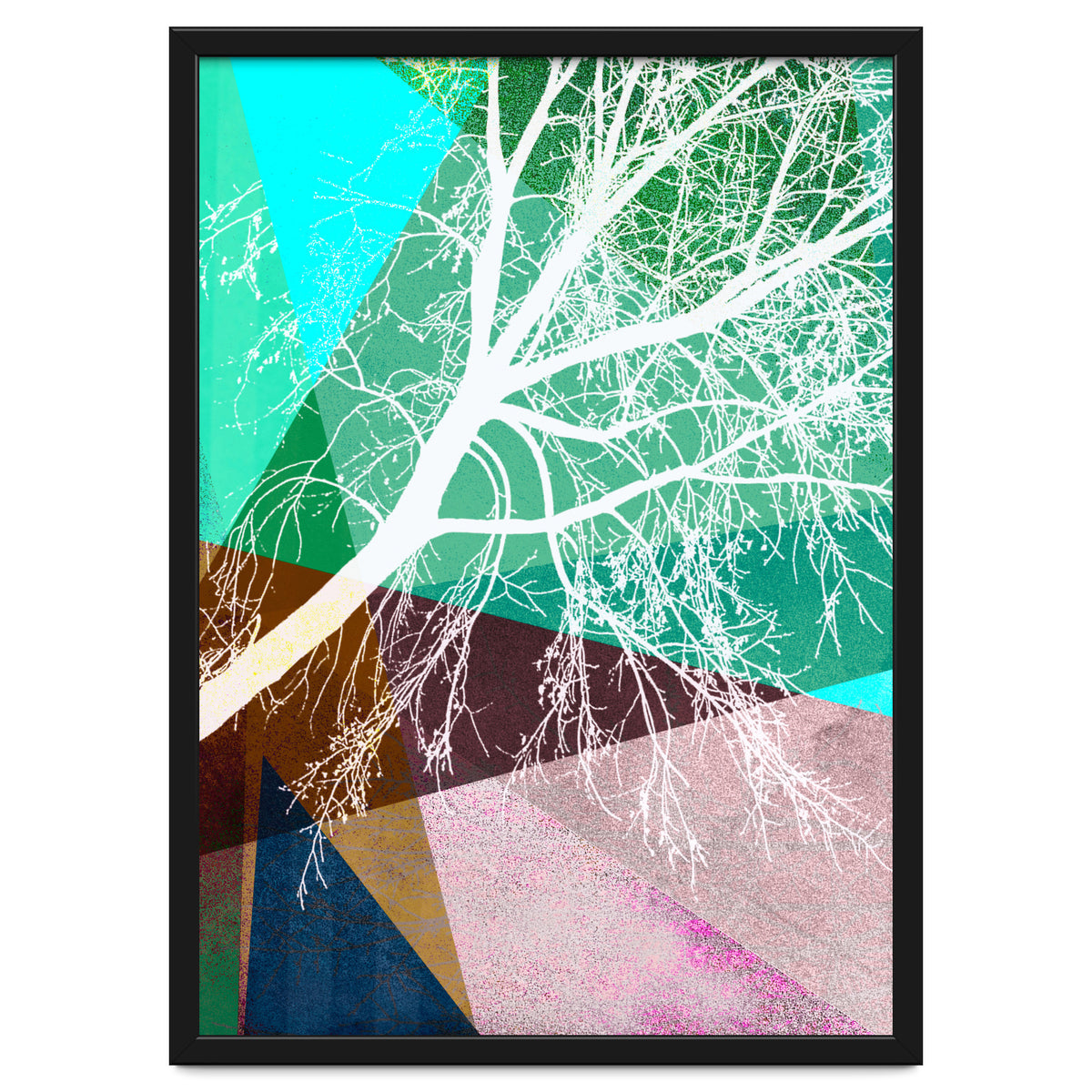 P16-H Trees And Triangles