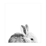 Black and White Bunny Portrait (Print Only) thumbnail