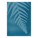 Pteridopsida 2 (Print Only) thumbnail