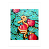 Eden (Print Only) thumbnail